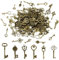 150 Pezzo Chiavi Vintage Decorativo Misto Vecchio Bronzo Chiavi Antiche Vintage Gadget per Matrimonio Decorativo Antico Decorativo Ciondoli per Collane