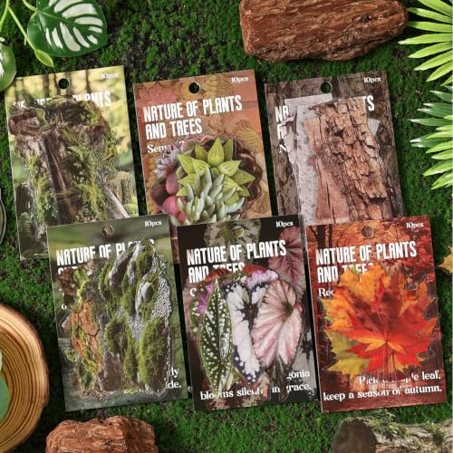 Scrapbook Journaling Zubehör Nature Pflanzen Theme Sticker Für Journaling | Arpaper 60pcs Scrapbooking Stickers für DIY-Handyhüllen,Tassen-Dekorationen,Verschönerung von Notizbüchern