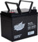 Interstate Batteries 12 V 35 Ah SLA/AGM-Batterie, UT-Klemme (SLA1155)
