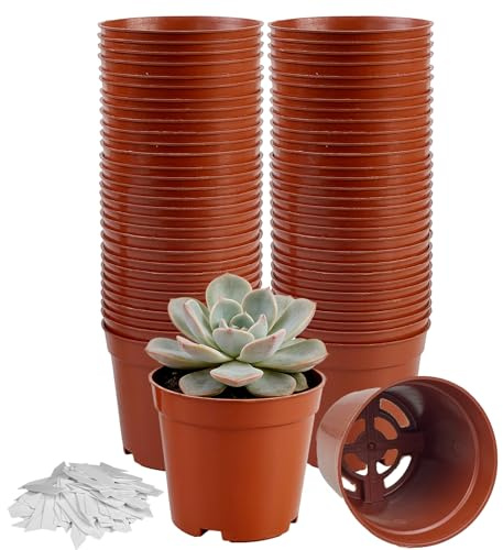 TEYIAN 60pcs 7.5cm Small Plant Pots Plastic Flower Nursery Pots Herb Pot Seed Seedling Pots with Drainage Hole and 100Pcs Plant Labels for Succulent, Flowers, Cactus All House Plants