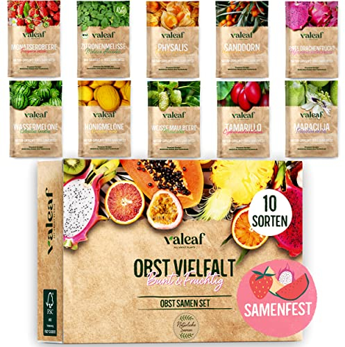 valeaf Obst Samen Set I 10 Sorten Obstsamen I Premium Obst-Saatgut I Pflanzen Set inkl. - Erdbeersamen, Melonen Samen, Physalis, Drachenfrucht I Pflanzen Samen I ideales Samen Set Geschenk