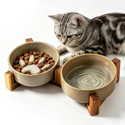 Hundenapf Keramik, Erhöhter Futternapf, 15.8 * 5 cm Futternapf Hund Set, 450ml Keramik-Hundenapf-Set Doppelnapf Erhöhter Futternapf, Für Haustierfütterung Und Katzen(Medium)
