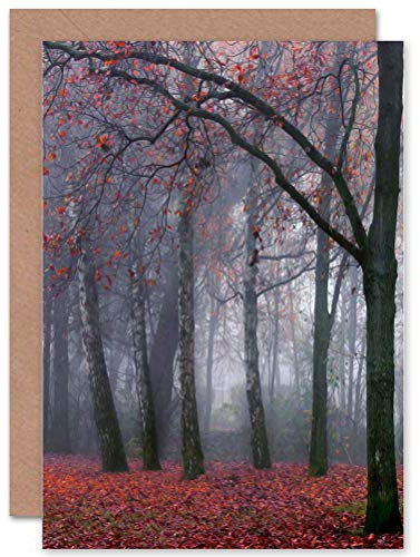 Wee Blue Coo Herbst Bäume Nebel Wald Landschaft Natur Fotokarte Geburtstagskarte