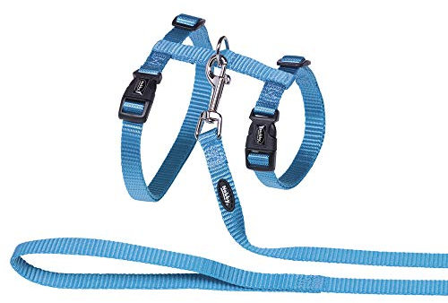 Nobby Katzengarnitur XL türkis