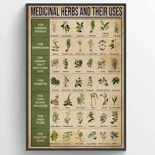 Medicinal Herbs and Their Uses Plants Knowledge,12 * 8 Inches Vintage Funny Poster Wall Decor Art Gift Retro Picture Metal Sign