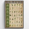 Medicinal Herbs and Their Uses Plants Knowledge,12 * 8 Inches Vintage Funny Poster Wall Decor Art Gift Retro Picture Metal Sign