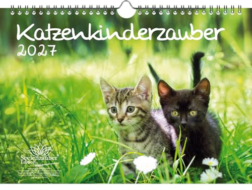 Katzenkinderzauber DIN A4 Kalender für 2027 Katzenkinder Katzenbabys - Seelenzauber