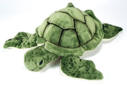 Ark Toys Plüschschildkröte, Grün mit Bohnen