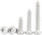 Qrity 25 Pezzi Vite Autofilettante M6x16mm, Viti a Testa Bombata Torx, Viti Autoperforanti a Testa Tonda in Acciaio Inossidabile