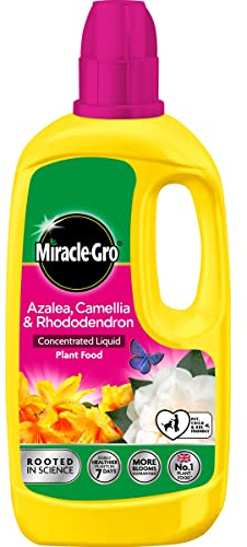 800ml Premium Concentrated Liquid Plant Feed for Roses, Orchids, Azalea, Camellia & Rhododendron - High-Performance Formula for Vibrant Blooms and Healthy Growth in Roses and Flowering Plants