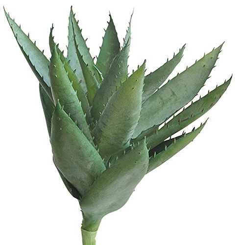 Li Hua - Piante artificiali di piante grasse verdi assortite, decorative, 1 pezzo, grande cactus finto, aloe finta, plastica, Green, 24cm