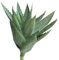 Li Hua - Piante artificiali di piante grasse verdi assortite, decorative, 1 pezzo, grande cactus finto, aloe finta, plastica, Green, 24cm