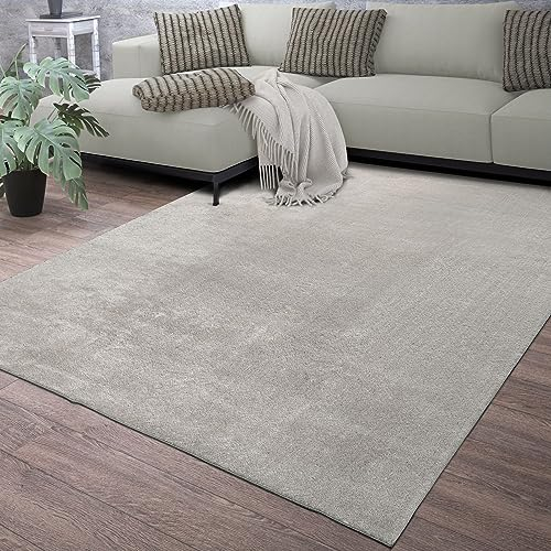 TT Home Teppich Wohnzimmer Kurzflor Anti-Rutsch Rückseite Einfarbiges Design Waschbar, Farbe: Silber, Größe:140x200 cm