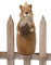 B2S BACK2SEASON Zaunfigur Eichhörnchen Zaunhocker Zaundeko Herbst Deko H=20 cm