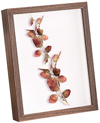 A4 Frames Shadow Box Frame - 3D Display Boxes for Tabletop and Wall for Filling Objects Artworks Flowers with Mount (Walnut430,Depth 3cm)