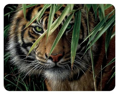 3D LiveLife Magnet - Emerald Forest from Deluxebase. Lenticular 3D Tiger Fridge Magnet. Magnetic decor for kids and adults with artwork licensed from renowned artist, Collin Bogle