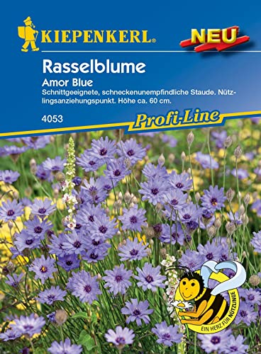 Kiepenkerl Profi-Line Rasselblumensamen Amor Blue 4053 – Schnittgeeignet - Höhe ca. 60 cm - Inhalt für ca. 40 Pflanzen - Blumenwiese Samen, Saatgut