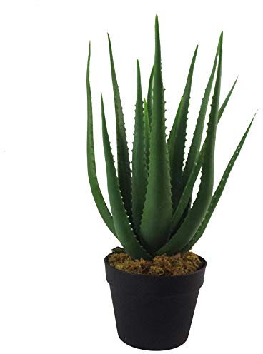 Leaf Artificial Realistic Vera Succulent Plant, 55cm Aloe
