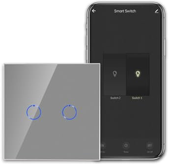 CNBINGO Smart Touch Lichtschalter Arbeiten mit Alexa, Google Assistant - WLAN Schalter unterputz - mit Glas Panel - Wandschalter zweifach in Grau - Neutralleiter Wird Benötigt - 600W/Fach