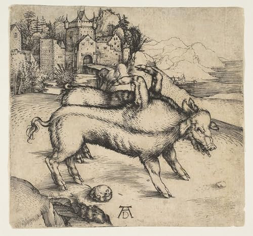 YIMACBJXX Berühmte Gemälde Abstrakter Druck Malerei Poster Das monströse schwein von landser von albrecht dürer Berühmte Leinwand für Heimtextilien 60x90cm