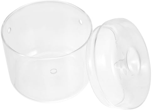 Mikrolandschafts Pflanzenflasche aus Glas für Kreative Raumdekoration