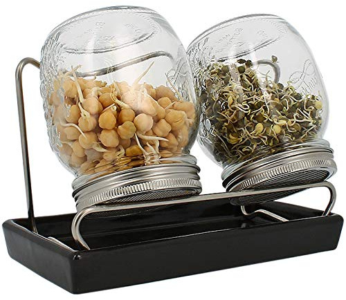 Eschenfelder Sprossengläser System II 750ml anthrazit | Edelstahl | Herstellung in Deutschland | Keimsaaten