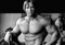 Poster Arnold Schwarzenegger Jugend Celebrity Body Builder Retro
