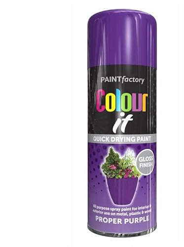 SuperGift.com Purple Gloss All Purpose Aerosol Spray Paint 250ml Quick Drying Spray, Fast Dry and Excellent Coverage for Metal, Wood, Plastic and More by Diva Gift