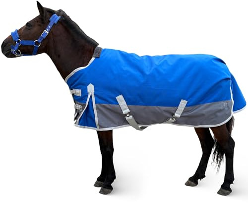 Mini Horse Pony Puledro Coperta 260g Riempimento Peso Medio Traspirante 1200D Coperte per Cavalli Invernali In Miniatura