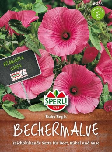 Malve (Bechermalve) Ruby Regis