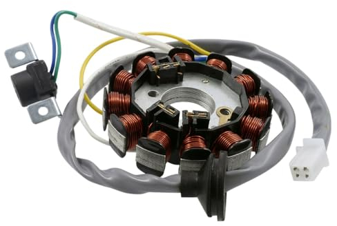 2EXTREME Lichtmaschine 12 polig für MBK Forte 50, Mach G 50 AC/LC, Nitro