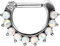 PIERCINGLINE Titan Clicker 10 SYNTH. OPALE silberfarben Piercing Ring Nase Septum Ohr Tragus
