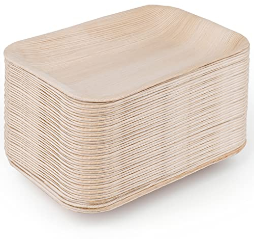 Dicunoy 35 Pack Disposable Palm Leaf Plates, Charcuterie Boards,9.5 x 6 Palm Appetizer Serving Platters, Reusable Rectangle Bamboo Wood Platers for Party, Weddings, Dessert, BBQ, Sushi