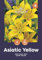 AGRONOM | LILIEN - YELLOW | Mehrjährige Blumenzwiebeln | Gelb Blumen | Werden in Blumengärten, Töpfen angebaut, in blühenden Rasenflächen | 2 Blumenzwiebeln