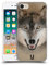 Head Case Designs Grau Wolf Tiergesichter 2 Harte Rueckseiten Handyhülle Hülle Huelle kompatibel mit Apple iPhone 7/8 / SE 2020 & 2022