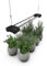 Dymond BoostGro LED Grow Light Full Spectrum Linkable 5000K Daylight + 660nm Red Indoor Plant Lighting Fixture (2 FT, Black)