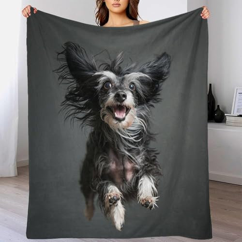 TBDUEPS Xishi Hunde-Weihnachtsdecke aus weichem Fleece für Schlafzimmer und Büro, Sherpa-Gewichtsdecke, Geschenk für Familie und Freunde, 100 x 130 cm