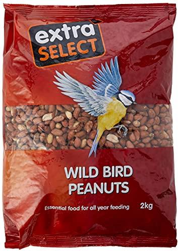 Extra Select Wild Bird Peanuts: High Grade, Protein Rich, Year Round Wild Bird Food Peanuts - Ideal for Winter Feed - 2kg