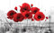 Forwall Fototapete Vlies Tapete Türtapete Mohnblumen Rot - Natur Mohn Pflanze Blüte Blumenwiese Moderne Tür Dekoration 2254VET 211cm x 91cm Schlafzimmer Wohnzimmer