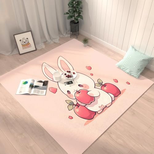 Grand Tapis Rose Pâle Chambre Sport Antidérapant Lavable en Machine Tapis Couloir,Salle A Manger Chambre Enfant Decoration Chambre