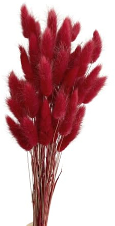 Aniyan 50 Stück Kaninchenschwanzgras Getrocknet Trockenblumen, Flauschige Bunny Tails Strauß, Lagurus Trockenblumen Deko für Vase Hochzeit Boho Wohnzimmer Tischdeko (Dunkelrot)