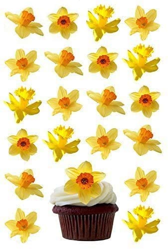 Anglesit Pre-Cut Daffodil Flowers Edible Wafer Paper PreCut Cupcake Cake Toppers Birthday Party Wedding Baby Shower Easter Decorations