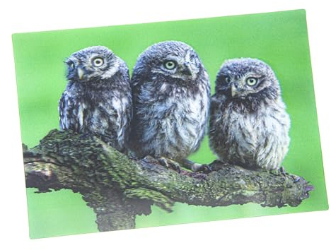 3 D Ansichtskarte Käuze Postkarte Wackelkarte Hologrammkarte Tiere Eulen Eule Vogel Greifvogel