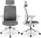 Dripex Bürostuhl Ergonomisch, Drehstuhl mit Lordosenstütze, Kopfstütze und Armlehne, Höhenverstellung und Wippfunktion, Rückenschonend, Schreibtischstuhl für Home Office