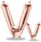 FUNXGO® Buchstaben Folienballons in Rose Gold I 100cm + 40cm I Luftballon Buchstaben Dekoration I Deko zum Geburtstag I Fliegt mit Helium I Happy Birthday, Party, Hochzeit (Rosegold[V])