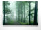 EIN Atemberaubendes Bild – Wald Nebel - als 120x90cm große XXL Leinwand. Tolles Wandbild als Hintergrund und Deko für Wohnzimmer & Schlafzimmer. Fertig aufgespannt auf 4cm Holz-Keilrahmen