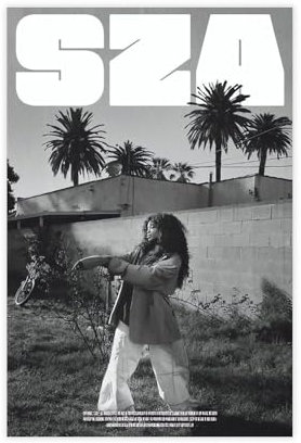 bnyesa Sza Poster CTRL Poster Leinwand Poster Wandkunst Dekor Druck Bild Gemälde für Wohnzimmer Schlafzimmer Dekoration 20 x 30 cm