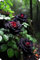 Rosen Rhizom, Kletterpflanzen,Duftende Blumen, Gartenblumen,Rosenzwiebel,Rosen,Winterhart,Topfpflanzen,Winterhart MehrjäHrig,Rosen Pflanzen-1zwiebeln-D