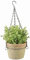 esschert Pot Suspendu en Terre Cuite 17 cm