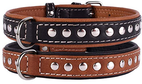 CollarDirect Hundehalsband mit Nieten, Leder, für kleine und mittelgroße Welpen, weich gepolstert, Braun/Schwarz (Braun, 33-36 cm)
